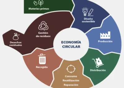 Qué es la ECONOMÍA circular?
